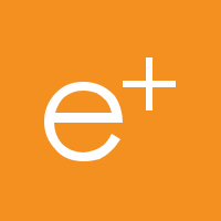 EcoSmart Fire